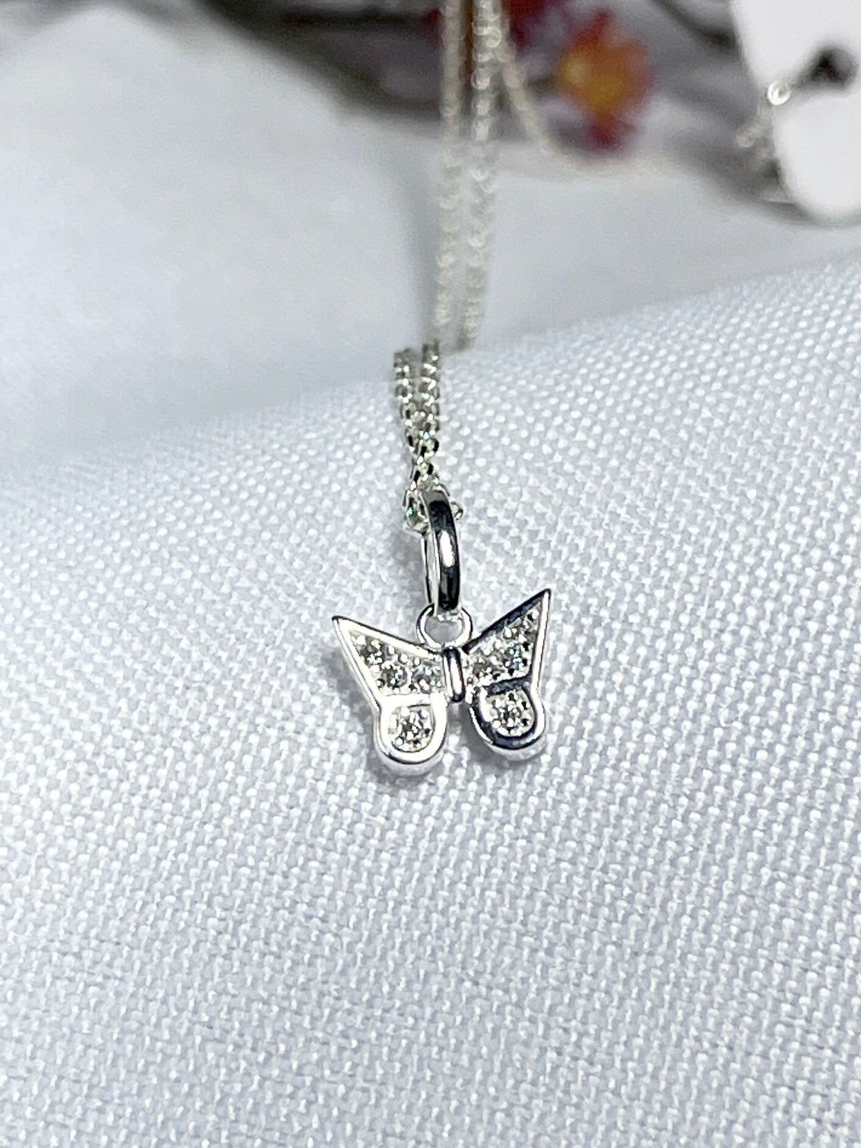 Borboleta cravejada